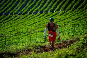 BIB: 
                            <button type="button" onclick="openModal(19160760)" class="btn btn-primary btn-sm float-right btn-popup" data-toggle="modal" data-target=".modal-high-quality">
                        <i class="fas fa-shopping-cart"></i> Add to Cart
                    </button>
                                            <button type="button" onclick="isThisMe(19160760, true)" class="btn btn-success btn-sm float-right btn-popup btn-isme hidden" data-toggle="tooltip" data-placement="bottom" title="นี่คือรูปของคุณใช่ไหม คลิกที่นี่เพื่อเอาเข้าอัลบั้ม">
                        <i class="fas fa-plus"></i> Add to album
                    </button>
                    <button type="button" onclick="isThisMe(19160760, false)" class="btn btn-warning btn-sm float-right btn-popup btn-isnotme hidden">
                        <i class="fas fa-ban"></i> Remove from album
                    </button>